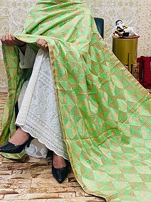 Chinon Single Tone Shaded Jaal Phulkari Dupatta - 6
