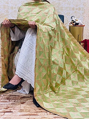 Chinon Single Tone Shaded Jaal Phulkari Dupatta - 9