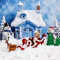 Snowman Wonderland Theme