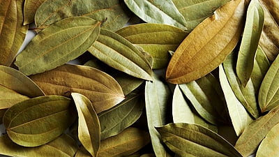 Bay leaves