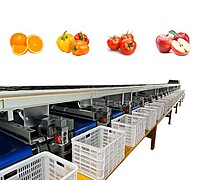 Sorting & Grading Area Sanitation