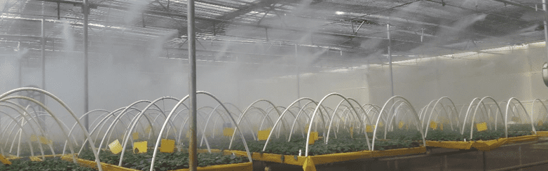 Polyhouse Climate Control System Upgrade Service