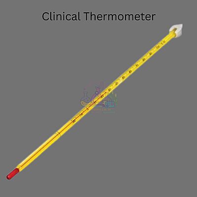 Clinical Thermometer