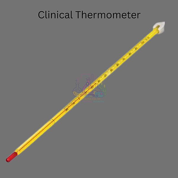 Clinical Thermometer