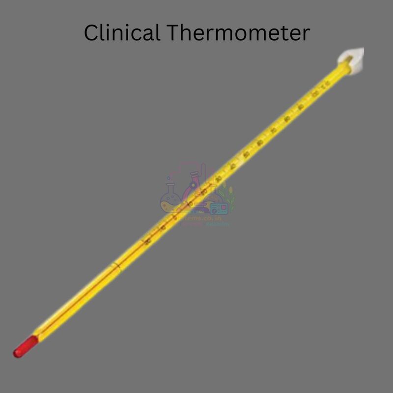 Clinical Thermometer