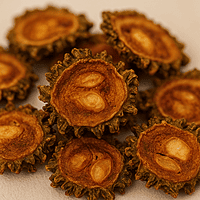 Close-up of crispy sundried pavakka slices | Worth2Deal