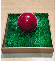 CRICKET BALL RICOCHET 