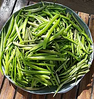 Clustered Beans గోరుచిక్కుడు