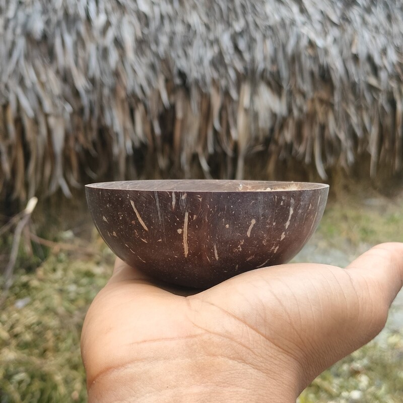 Coconut Shell Cup