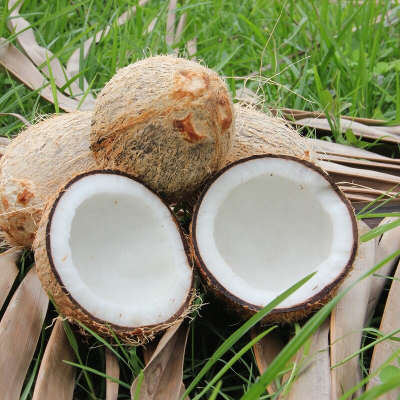 Coconuts