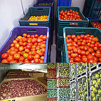 Cold Storage Construction Financing