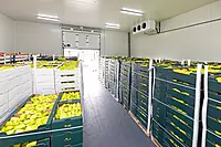 Cold Storage Commodity Management