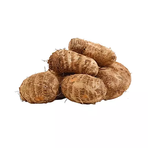 Colocasia (Seppakilangku)