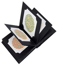 Color Vision Testing Charts (Ishihara Charts)