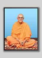 Swami Prameyananda - Vice-President (2009 – 11)