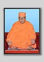 Swami Shivamayananda - Vice-President (2017 – 21)