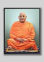 Swami Divyananda
