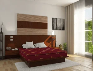Centuary Bubble Coir Mattress
