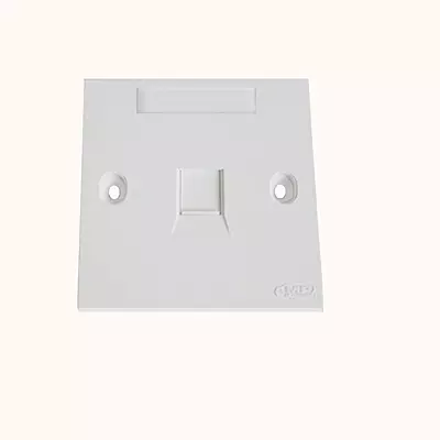 CommScope Cat6A Singal Face-Plate (235001-2)