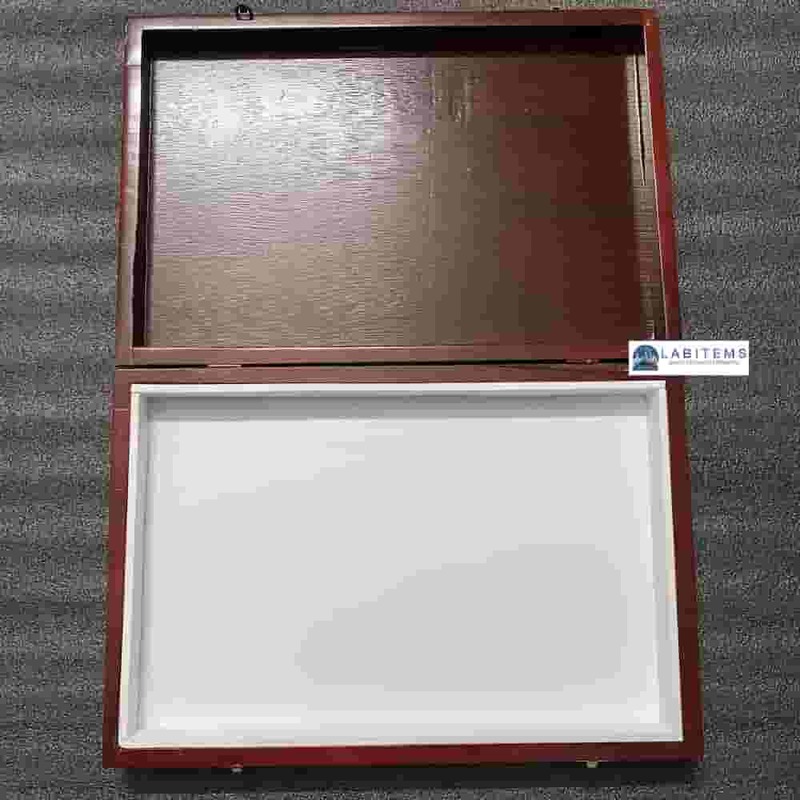 Insect storage box for colleges