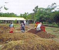 On-Farm Composting System Setup & Design