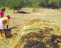 Composting & Organic Manure Processing Service
