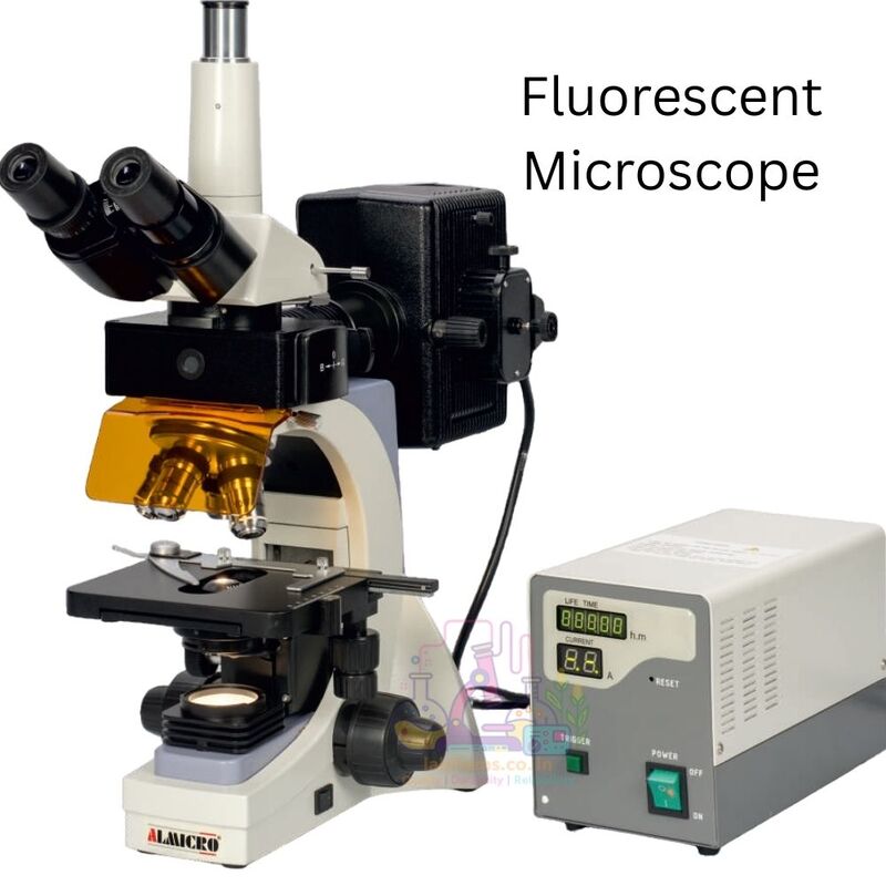 Fluorescent Microscope AFM-100 - ALMICRO