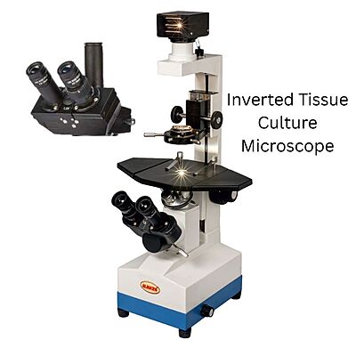 Inverted Tissue Culture Microscope