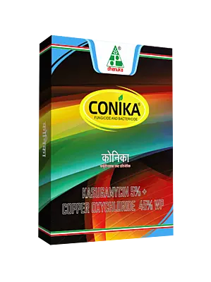 CONIKA by Dhanuka