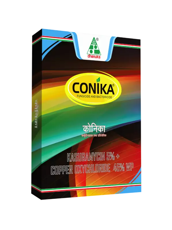 CONIKA by Dhanuka