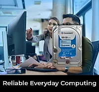 Consistent HDD 500 GB