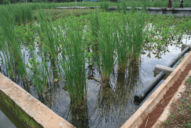 Agricultural Runoff & Drainage Water Treatment Solutions
