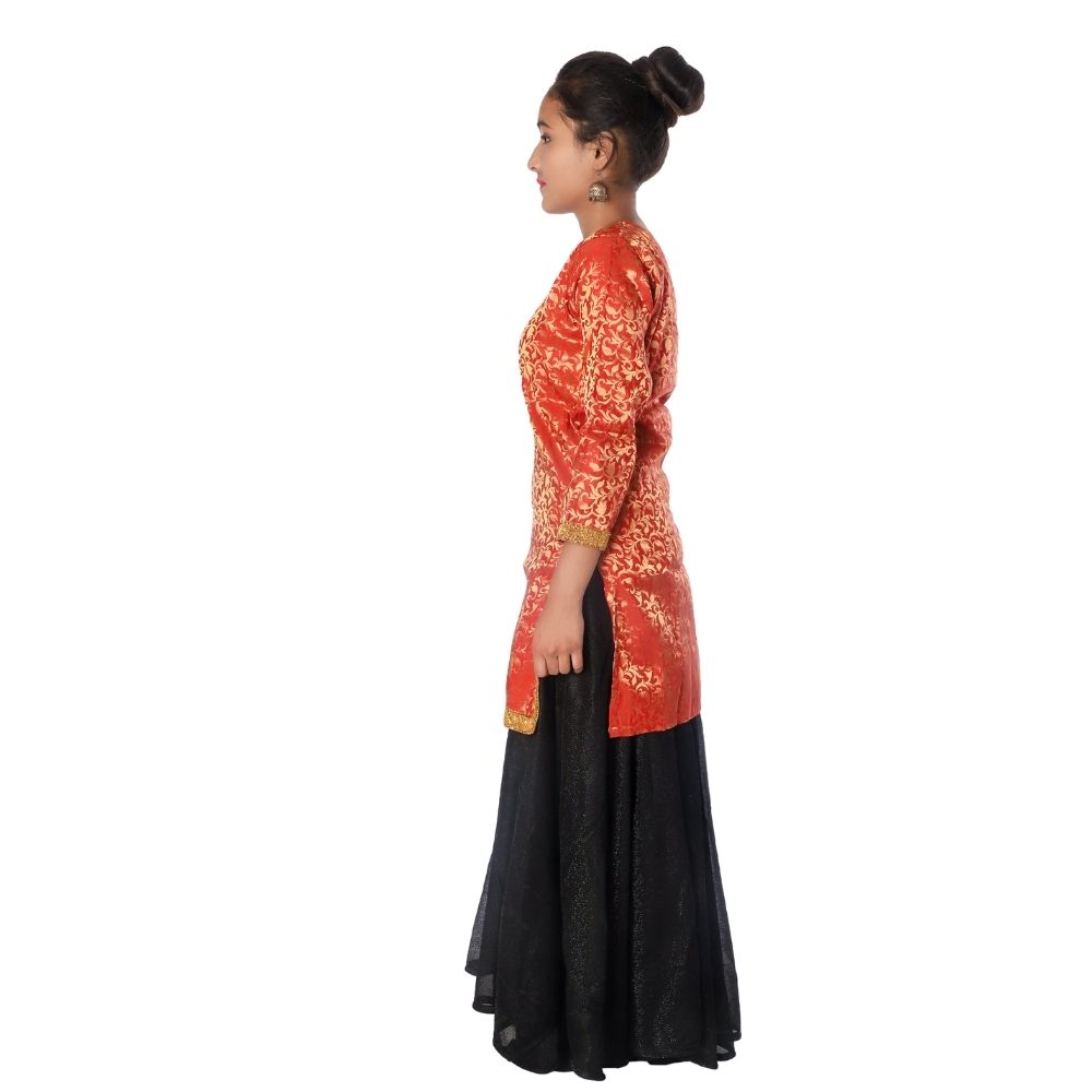 Contemporary and Indo Western Fancy Dress Costume