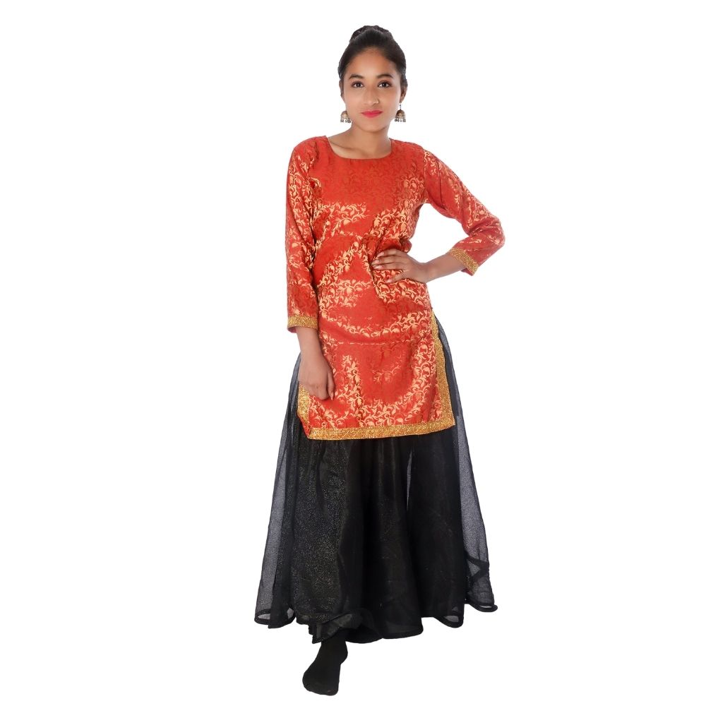 Contemporary and Indo Western Fancy Dress Costume Contemporary and Indo Western Fancy Dress Costume