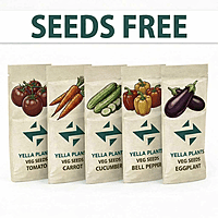 Grow Easy Combo Kit | Grow Bags + Coco Peat + Seeds | Complete Pack