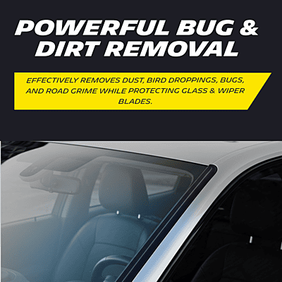 Windshield Washer Concentrate