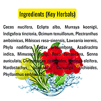 Growv Naturals Herbal Hair Oil 100ml | 100% Natural & Chemical-Free