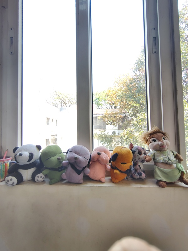 The Beautiful Traveler's Beautiful Stay Jayanagar Bangalore