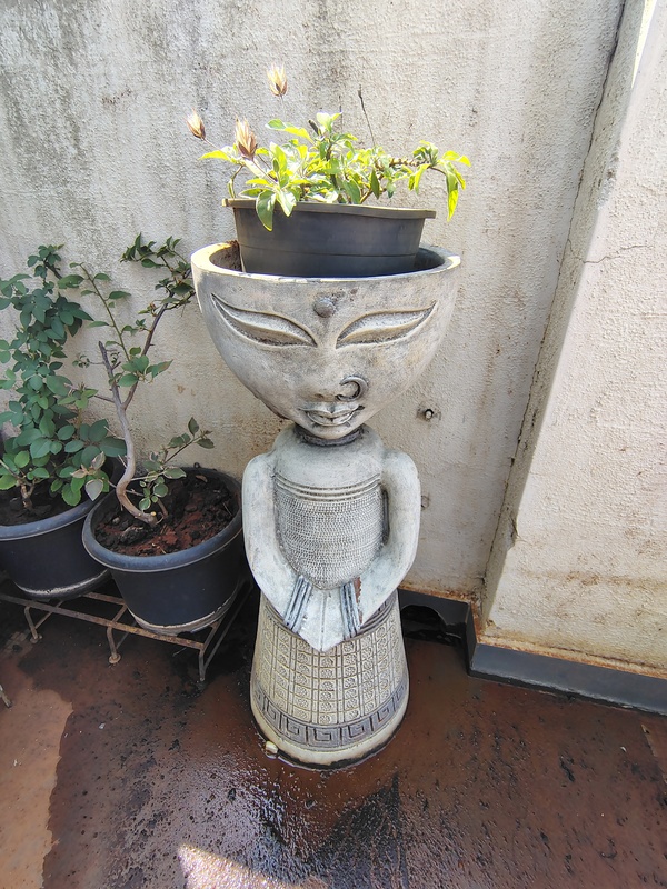 The Beautiful Traveler's Beautiful Stay Jayanagar Bangalore