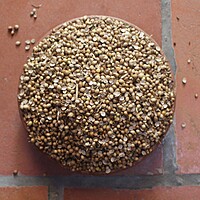 Coriander