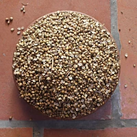 Coriander