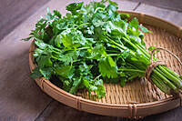 Coriander Leaves – Fresh, Fragrant & Full of Flavor