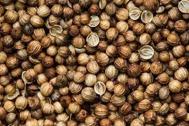 Coriander Seeds (Daniya)