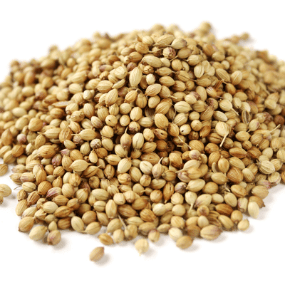 Raaja - Dhaniya (Coriander) Raaja - Dhaniya (Coriander)