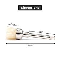 Cotisen Prophy Polishing Brushes (Pack of 1)