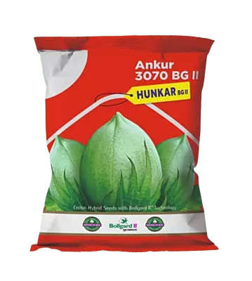 Cotton Ankur 3070 Hunkar -475gm by Dharti Seeds