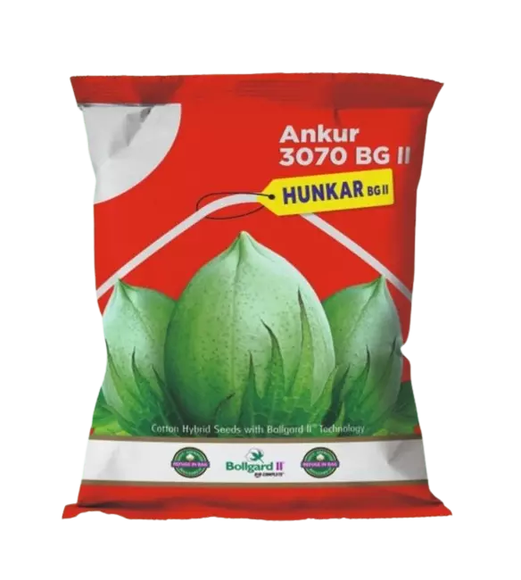 Cotton Ankur 3070 Hunkar -475gm by Dharti Seeds