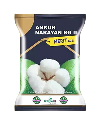 Cotton Merit -475gm by Dharti Seeds