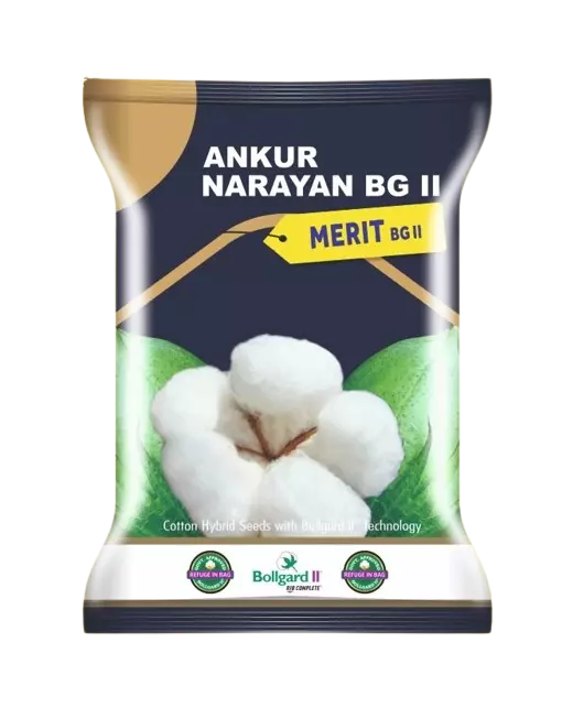 Cotton Merit -475gm by Dharti Seeds