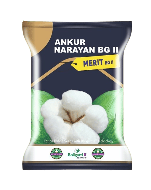 Cotton Merit -475gm by Dharti Seeds